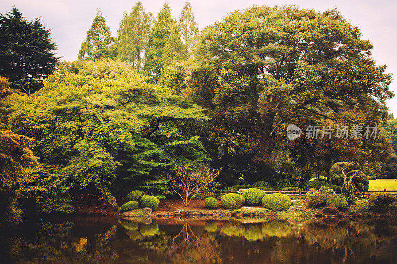 日本的复古色调植物园