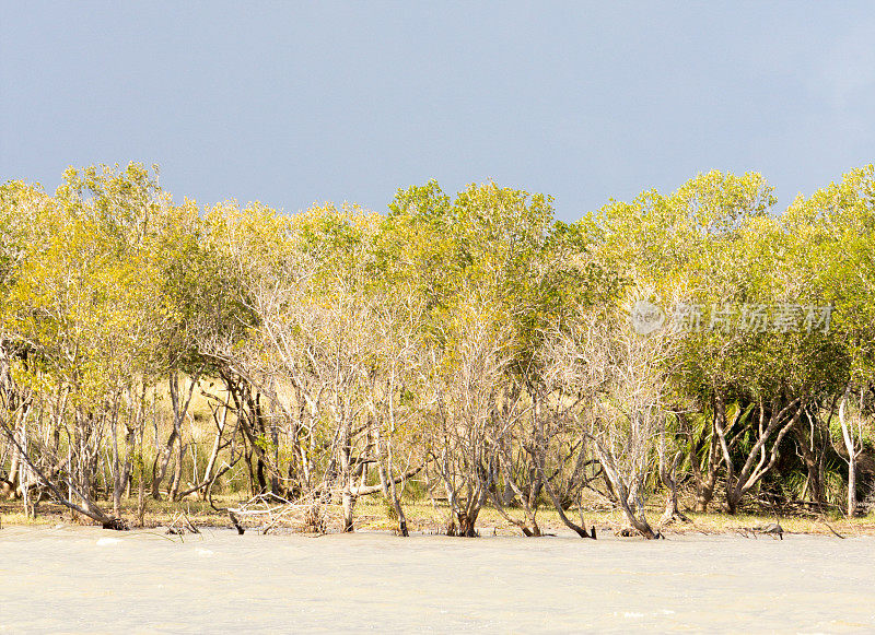 南非夸祖鲁-纳塔尔省的iSimangaliso湿地公园