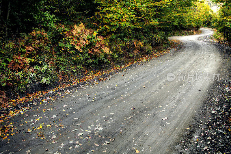 泥土蜿蜒的道路