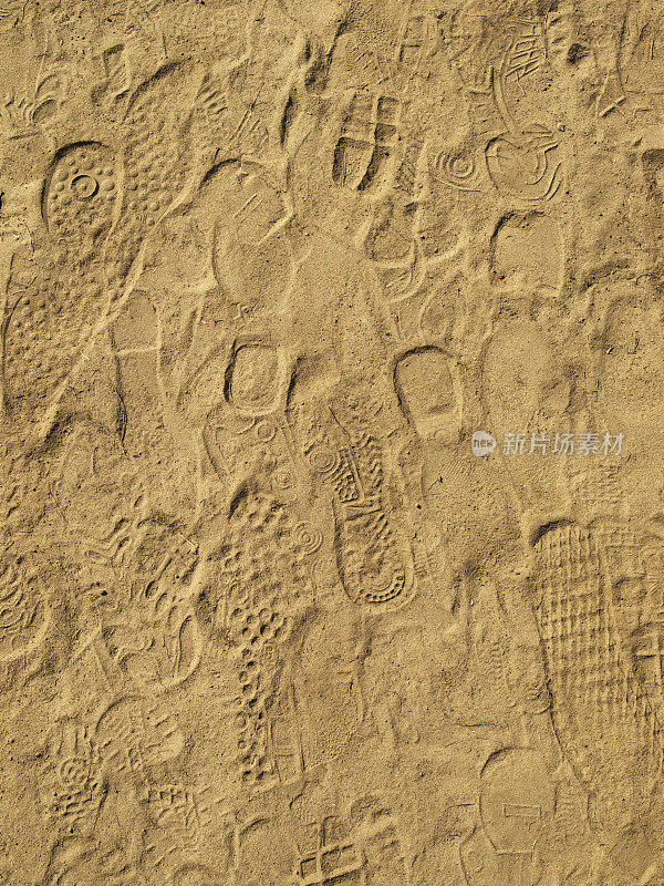 沙地上有脚印
