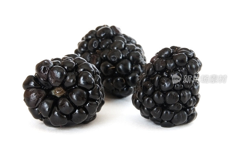 三个成熟的黑莓加白莓