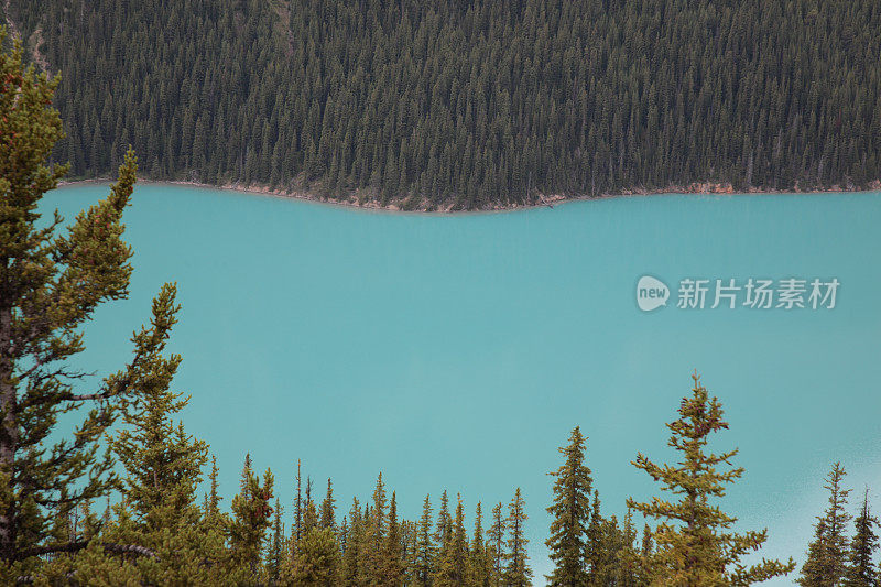 加拿大落基山脉的佩托湖的颜色