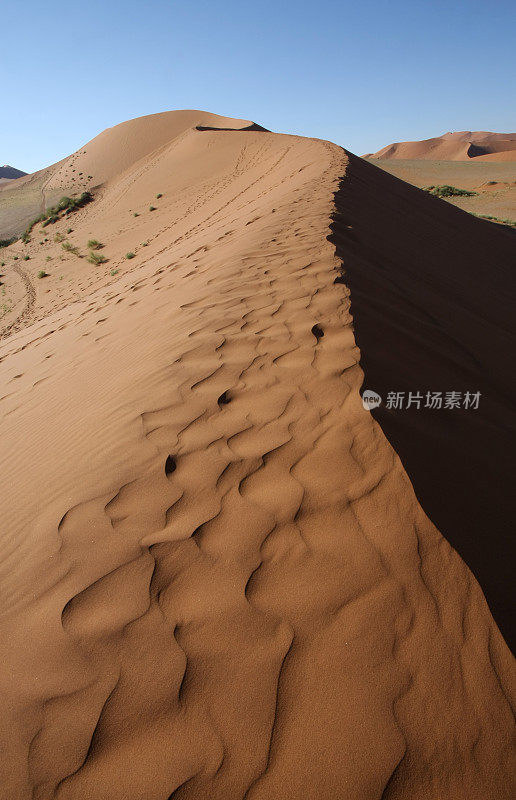 沙丘的索苏斯