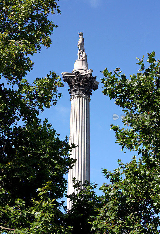 特拉法加广场的纳尔逊圆柱