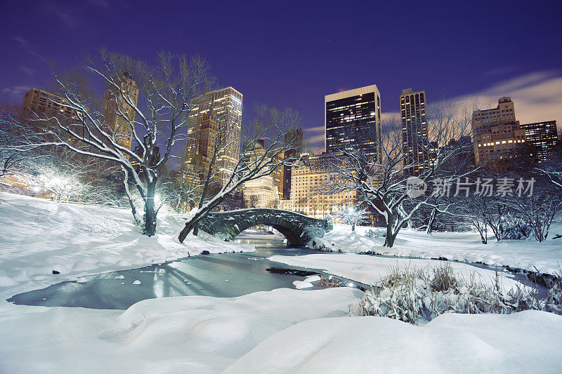 纽约中央公园冬天的盖普斯托桥