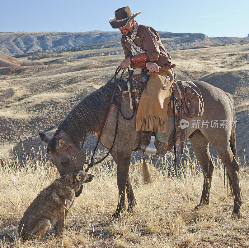 牛仔队，马和狗休息