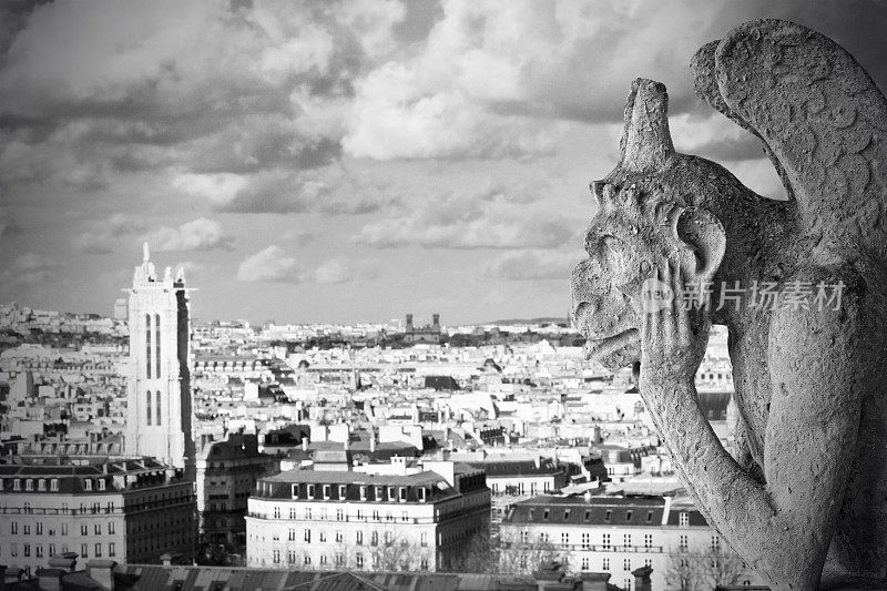 从巴黎圣母院看到的滴水嘴兽，法国