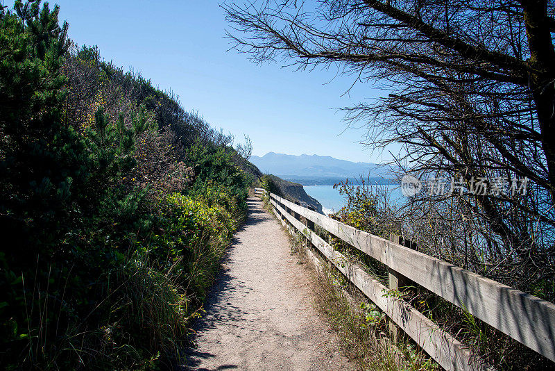 沿海道路