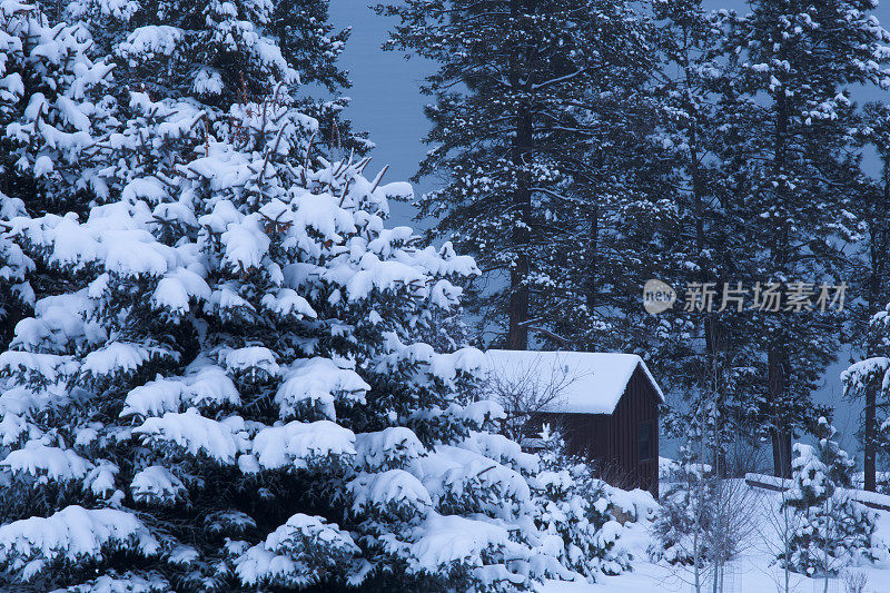 森林中的小屋-冬天的森林雪树夜