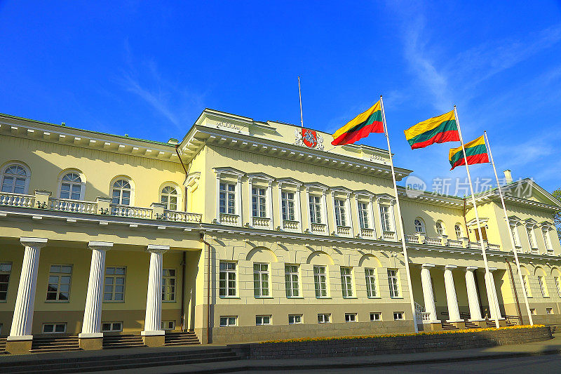 立陶宛总统大楼和旗帜，维尔纽斯，波罗的海