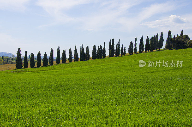 瓦尔德奥西亚的风景