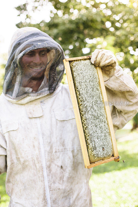 快乐的养蜂人拿着蜂蜜梳盘
