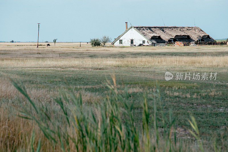 Hortobagy的农场建筑