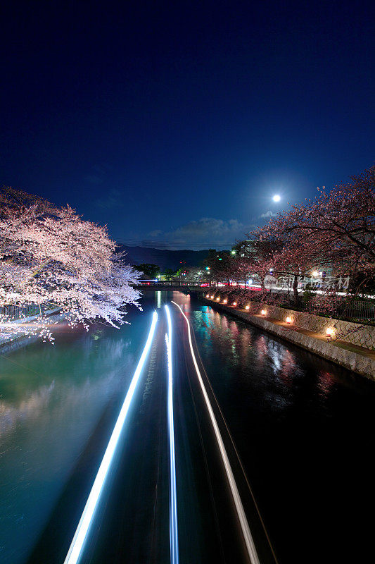 京都春光夜景