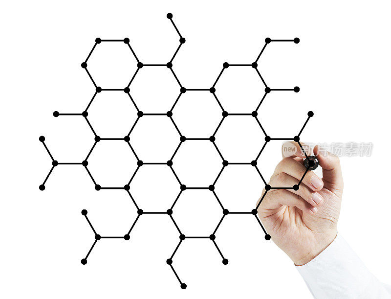 Molacular生物学报告