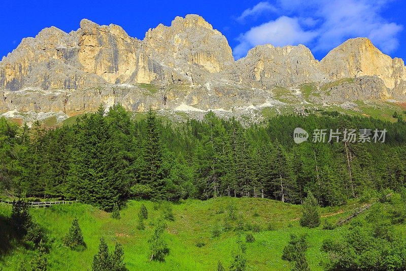 萨索伦戈，松树全景金色日落，白云石，意大利泰洛阿尔卑斯山