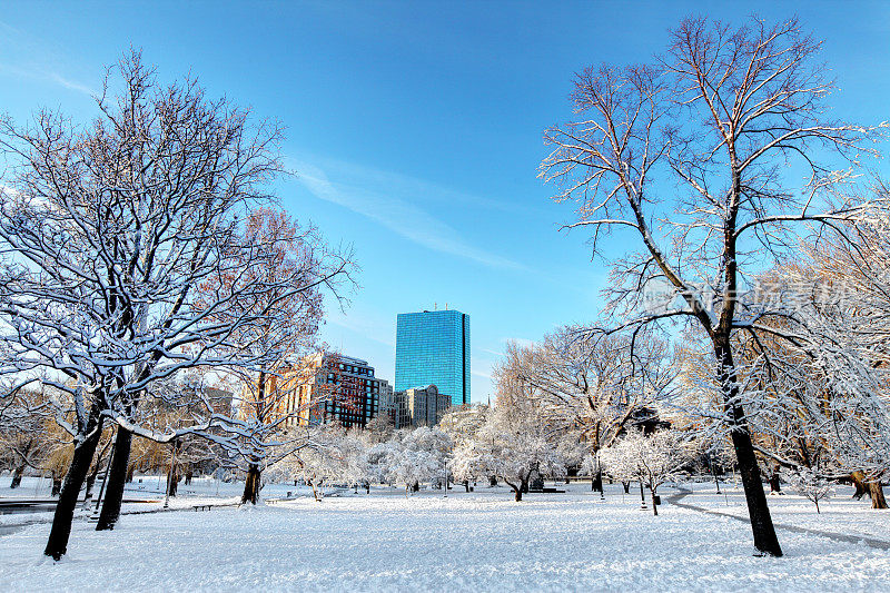 波士顿公共花园的冬天