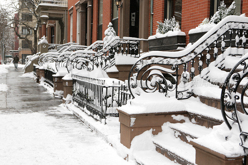 布鲁克林的房子冬天下雪