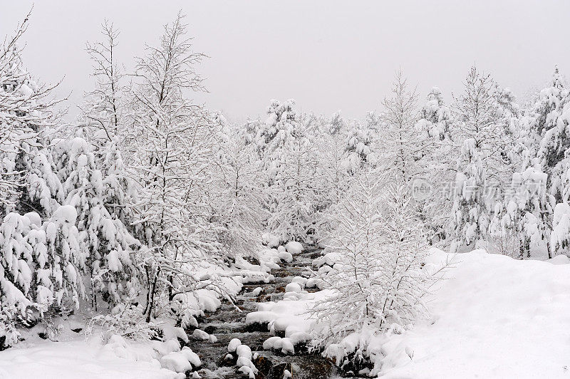 冰天雪地的冬季小溪景观