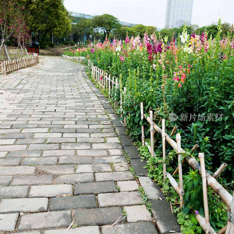 花园里有五颜六色的金鱼花和小径