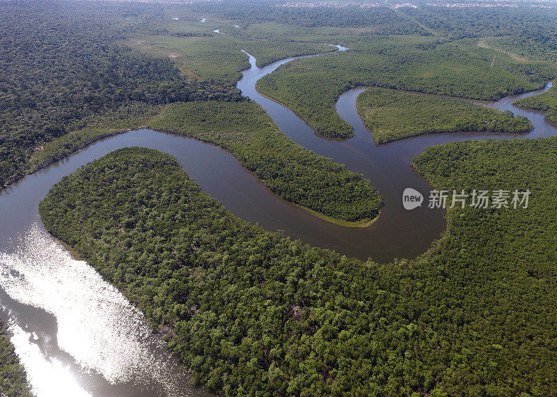 巴西热带雨林鸟瞰图