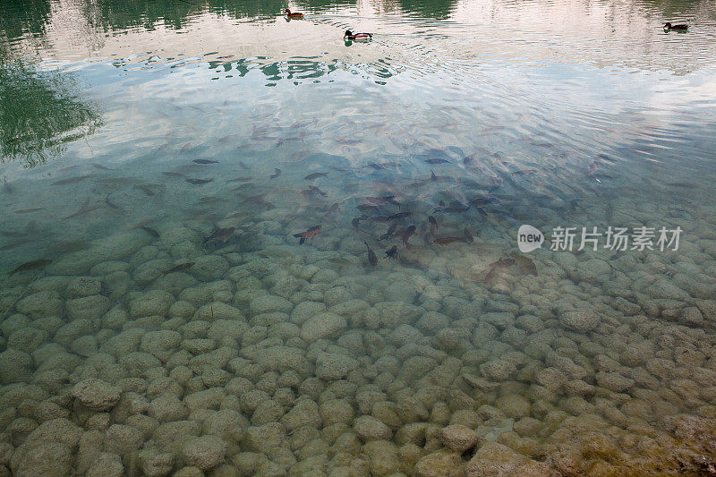 温泉帕穆嘉丽