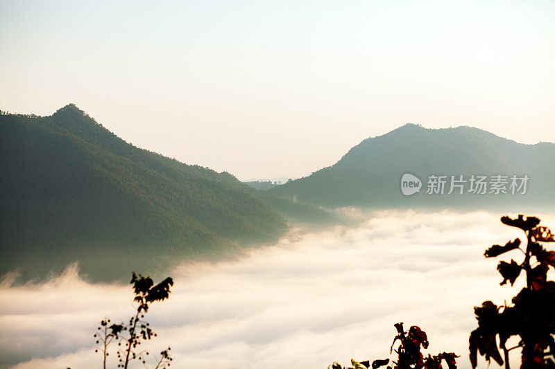 福Tok的清晨全景