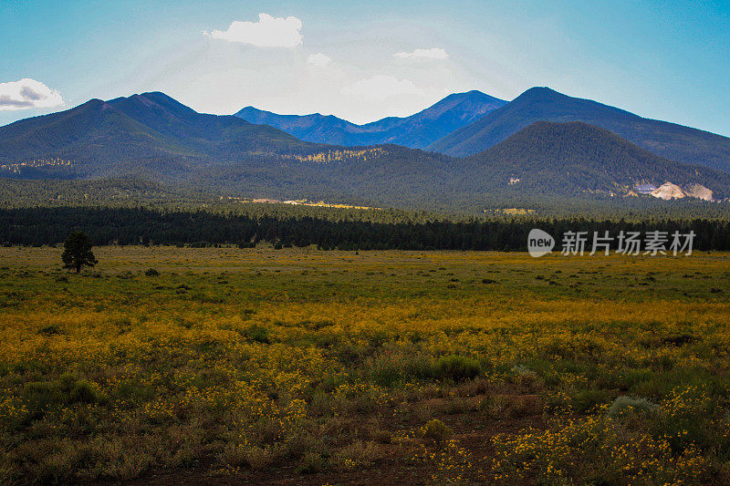 日落火山口火山国家纪念碑-亚利桑那州