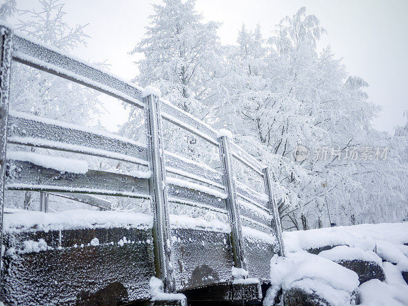 冰冻的木桥，树木覆盖在雪的背景