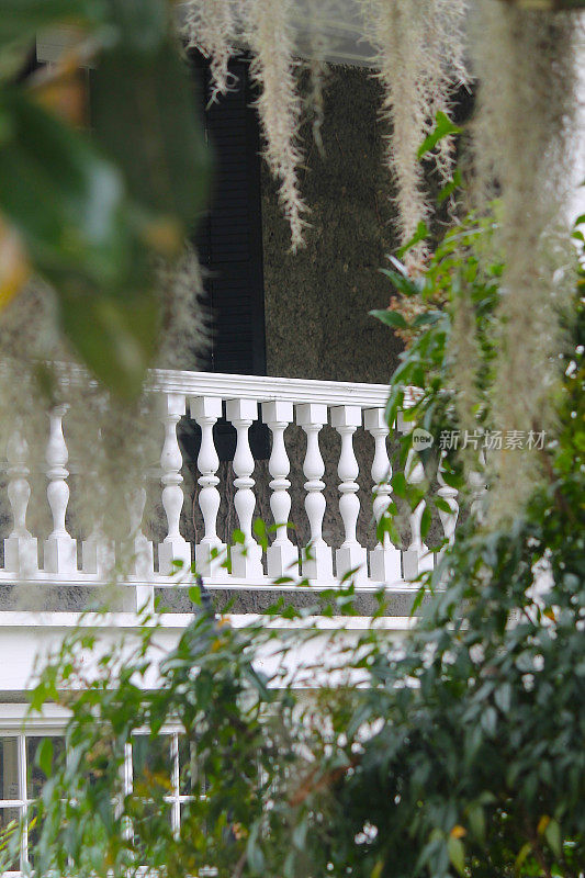 白色阳台与西班牙苔藓