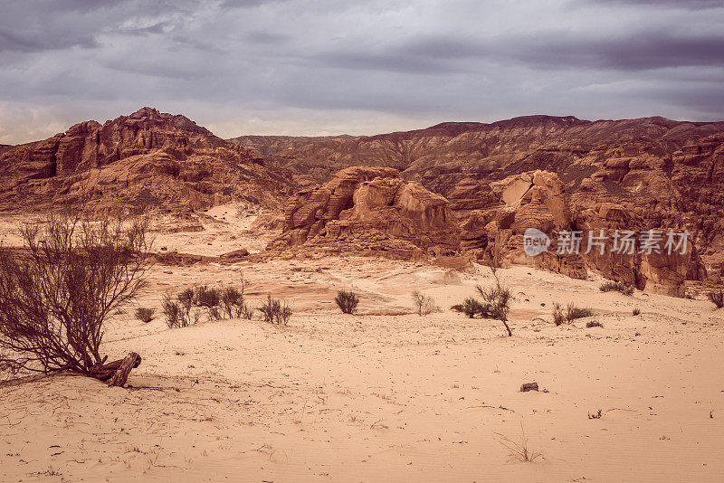 黄金干旱沙漠景观，埃及西奈
