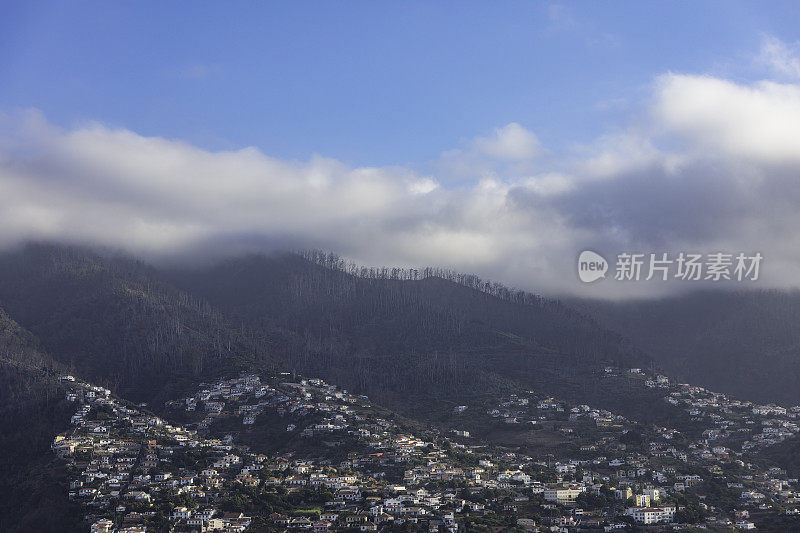 丰沙尔,木材