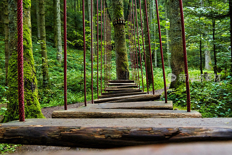 在森林中有单独台阶的吊桥