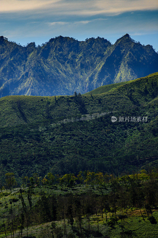 山景