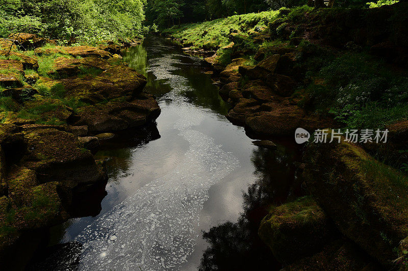 林间河流穿石景观