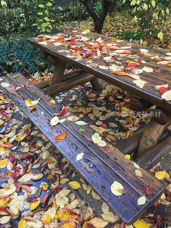 落叶落在木制的野餐桌上