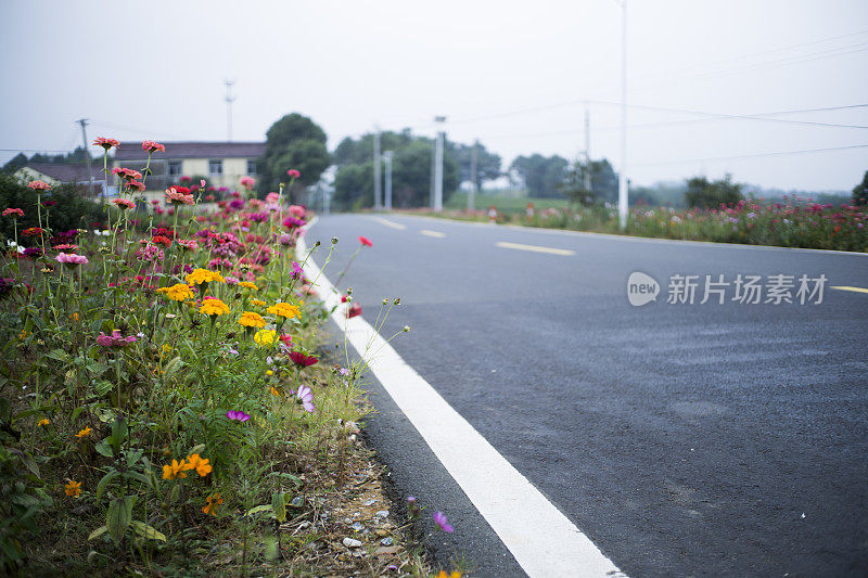 野花和乡间小路