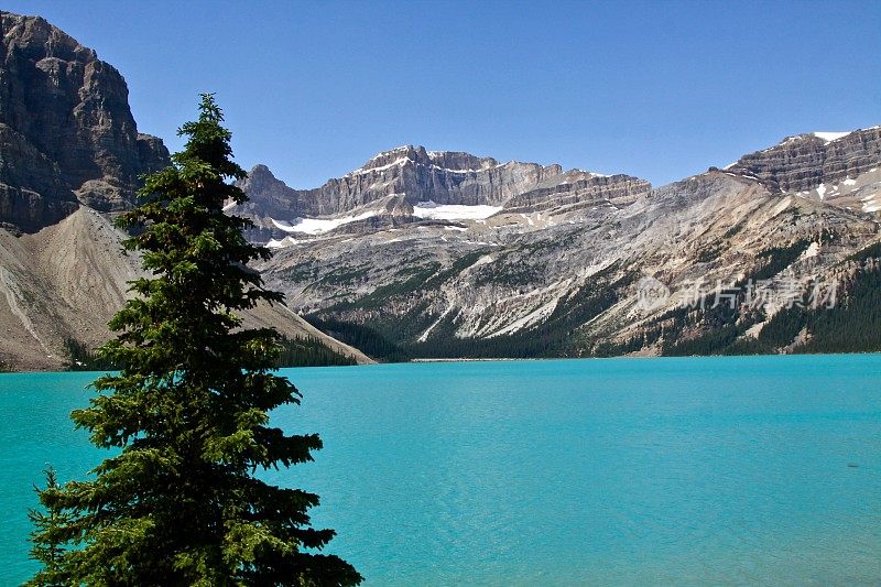 加拿大阿尔伯塔的弓湖