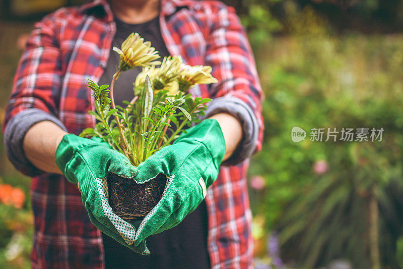 年长的女人在花园里带着花