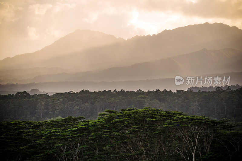 夏威夷考艾岛，郁郁葱葱的Makaleha山