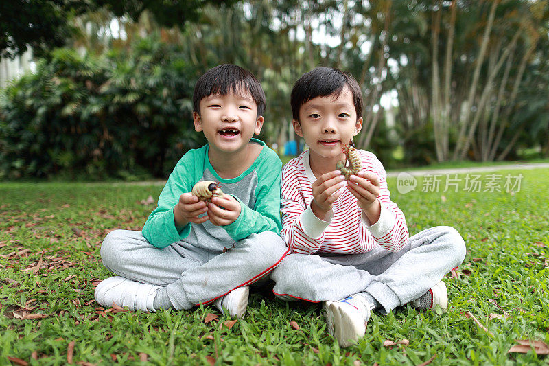 孩子有一只甲虫