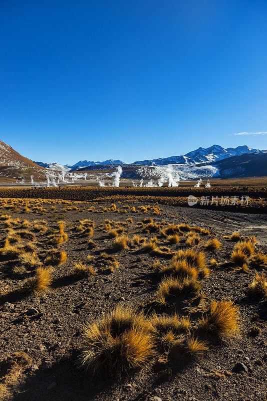 火山地区-间歇泉-埃尔塔提奥-地热能-阿塔卡马沙漠-安第斯高原-自然景观-干旱气候-安第斯山脉-山谷