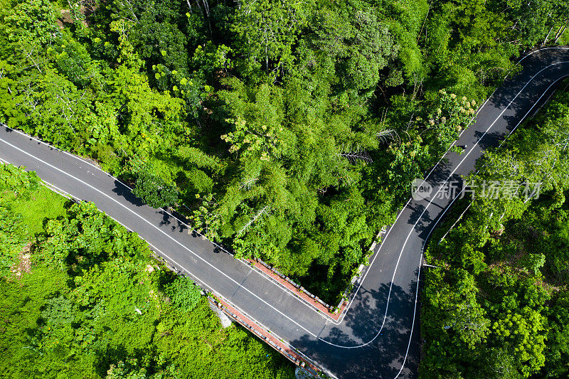 巴厘岛，热带森林里的路