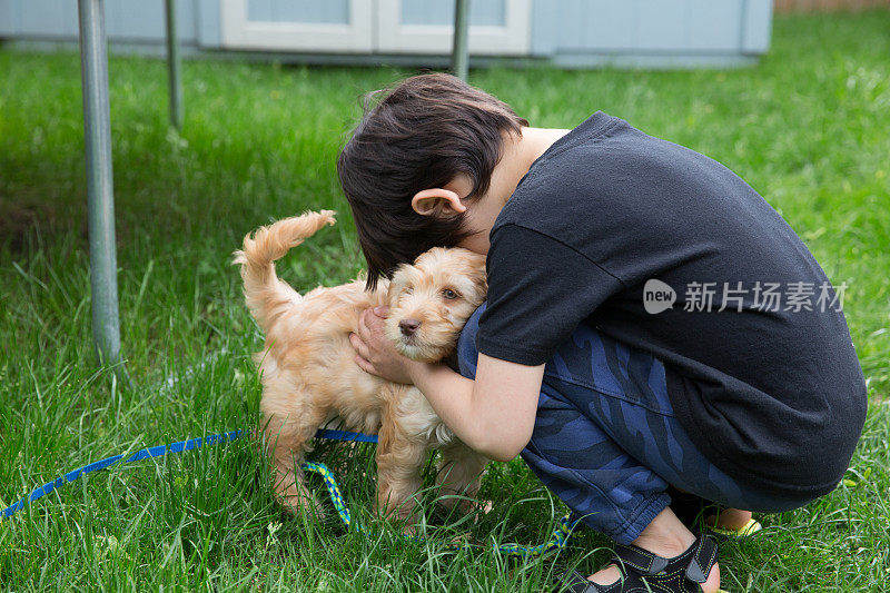 小狗和小男孩