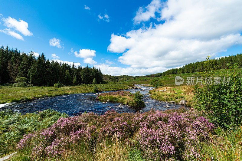 苏格兰乡间的一条河