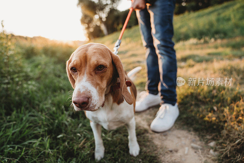 小猎犬和它的主人的肖像