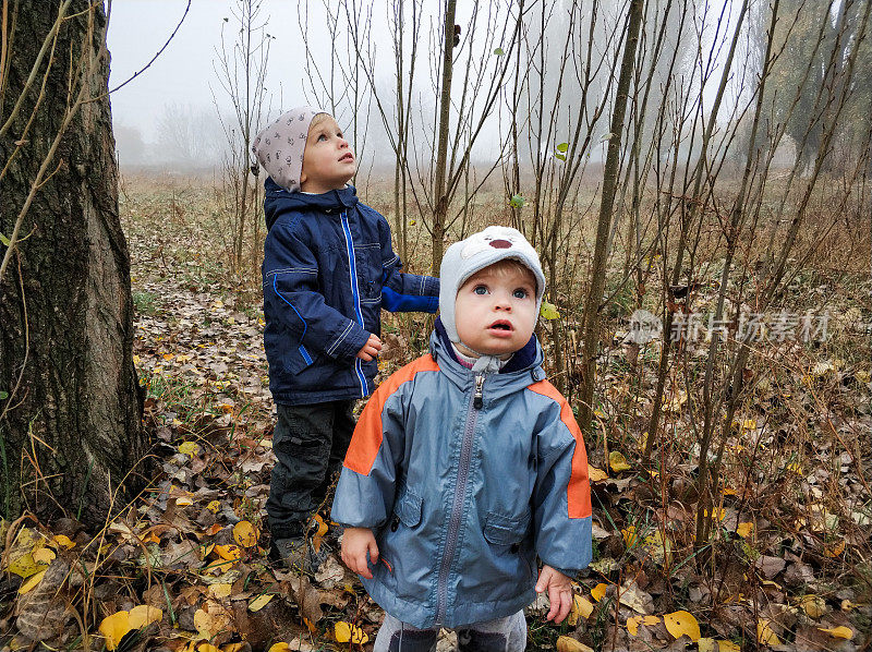 两个小孩在迷雾公园里