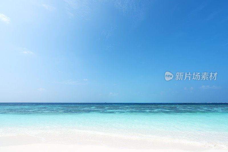 异国情调的热带海滩和绿松石海与晴朗的天空背景