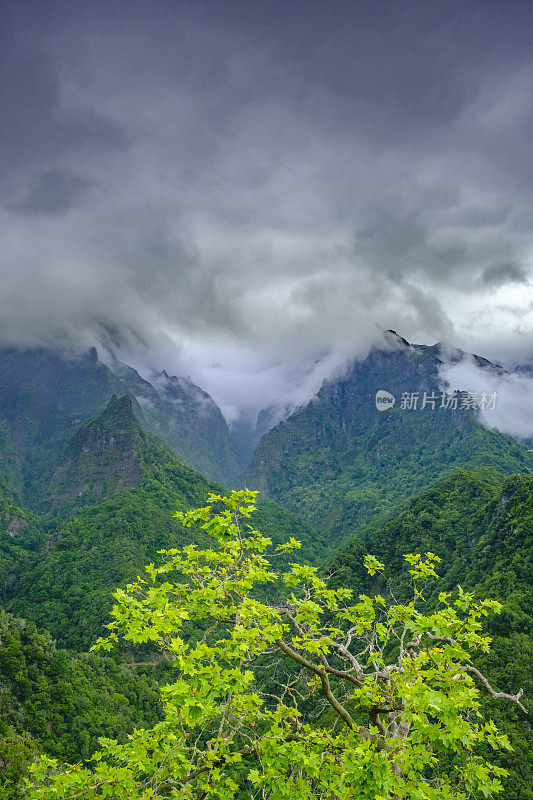 从勒瓦达巴尔科斯，葡萄牙马德拉的绿色山脉的全景