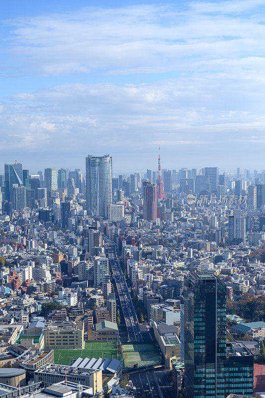 俯瞰东京,日本